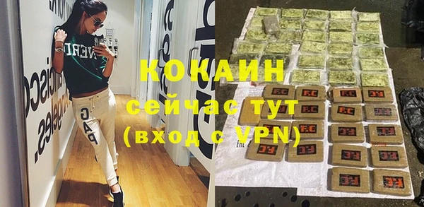 стафф Аркадак