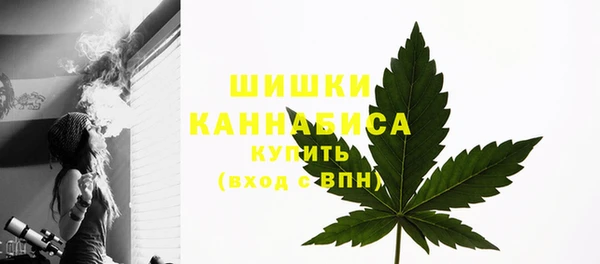 спиды Новодвинск