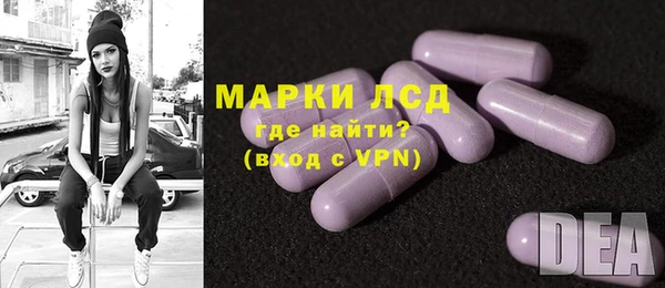 стафф Аркадак